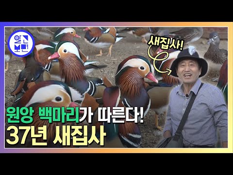 백 마리 원앙을 내 손안에 새들의 마에스트로 새나라 씨