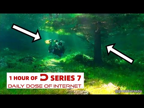 1 Hour Of Daily Dose Of Internet (Part 4)