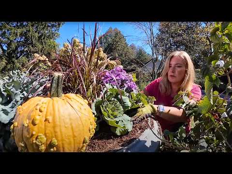 Fun fall pots 🍂 🍁 (that aren't just mums)