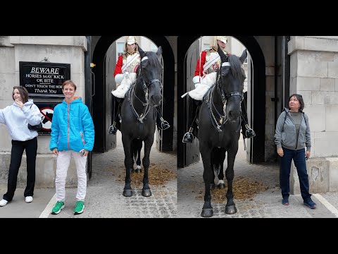 15 Ignorant Tourist Moments the Guards Couldn’t Ignore 😡.