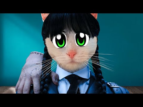 СМОТРИМ ВАШИ МЕМЫ 2 ! КОШЕЧКА МУРКА СТАЛА ВЕНСДЭЙ  МУРСДЕЙ ! ПРИКОЛЫ ОТ ПОДПИСЧИКОВ