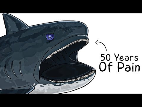 Why it Sucks To Be Born As a Megamouth Shark