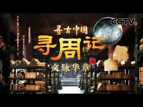 考古队挖出演奏《诗经》的乐器和乐谱！破译周朝先民刻在甲骨上的“天下奇字” 《寻周记·文脉华章》| CCTV「寻古中国」20250724