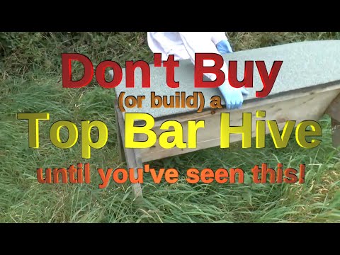 Don't Buy or Build a Top Bar Hive - until you have watched this!