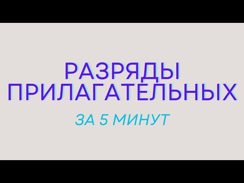 Разряды имён прилагательных. Качественные, относительные, притяжательные прилагательные.