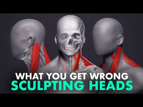 What You Get Wrong About Sculpting Heads