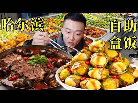 哈尔滨12塊30多個菜隨便吃的盒飯，夸夸一頓造！#本地人愛吃的店 #尋味街邊小吃 #打工人都吃啥 #盒飯