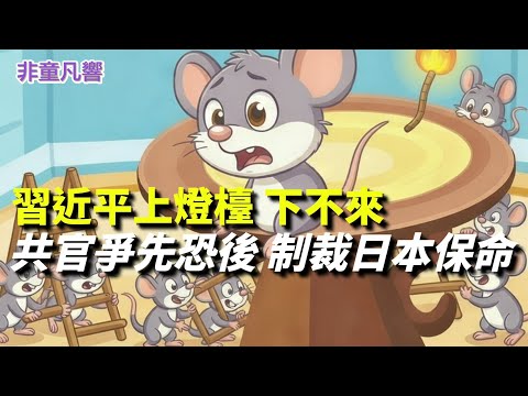 習近平想找梯子下卻下不來，因為黨官共官們認為要保命就得加大力度打日本打美國。戰狼給習近平高級黑！｜2025.12.19【非童凡響】