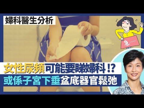 女性尿頻｜未必睇泌尿科而係睇婦科？膀胱問題或是子宮下垂盆底器官鬆弛初期癥狀？鍛鍊盆底肌幫助漏尿亦可改善尿頻 膀胱打botox治療尿頻透明質酸改善痛症？｜王建芳醫生 婦科醫生温綺琪醫生｜人類健康研究所
