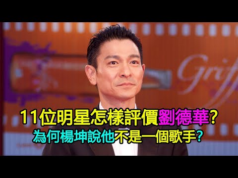 11位明星怎樣評價劉德華：王祖賢唯一愛而不得的男人，為何楊坤說他不是一個歌手？（刘德华）