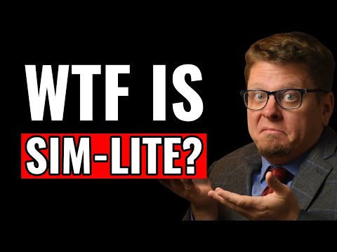 What the F**k is a Sim-Lite RPG? (Ft. @Me, Myself and Die! )