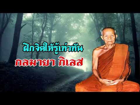 ฝึกจิตให้รู้เท่าทัน กลมายา ของกิเลส หลวงตามหาบัว ญาณสัมปันโน