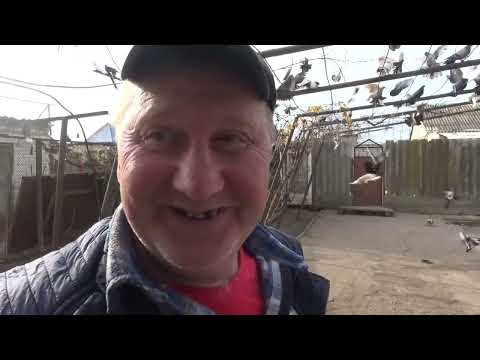 Надо просто побольше держать гомн..........