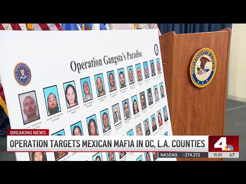 Massive Mexican mafia operation leads to over 40 arrests