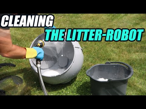 Ultimate Guide to Cleaning The Litter-Robot 4