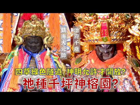 四草綠色隧道由祂管理？這間廟曾供奉荷蘭戰士？八八風災池王早有準備？關公種植千坪神榕園？台灣百廟2024/08/11-四草大眾廟(鎮海大元帥)+什二佃南天宮(池府千歲)+武聖廟神榕園(關聖帝君、松王公)