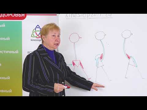 Искусство мануального мышечного тестирования. Мастер-класс Васильевой Л.Ф. Часть 1