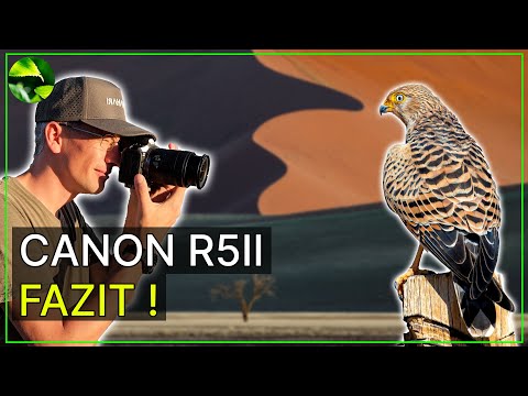 Canon R5 mark II in Namibia 📸🐦 Was kann sie gut, was nicht?