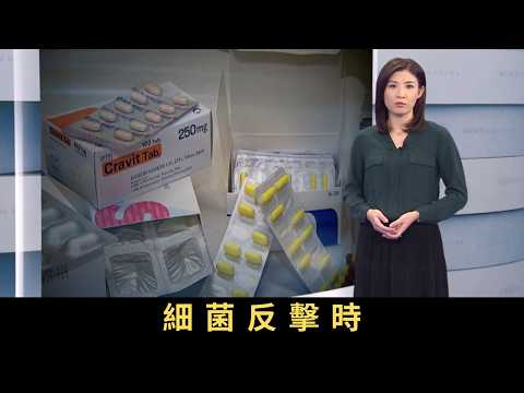 TVB新聞透視 細菌反擊時 直至四十年代，人類發現了盤尼西林，然而，細菌並不會坐以待斃。每二十分鐘，細菌便會產生下一代，在各方面大量使用抗生素下，近年終於出現了一些「無藥可治」的抗藥性惡菌。