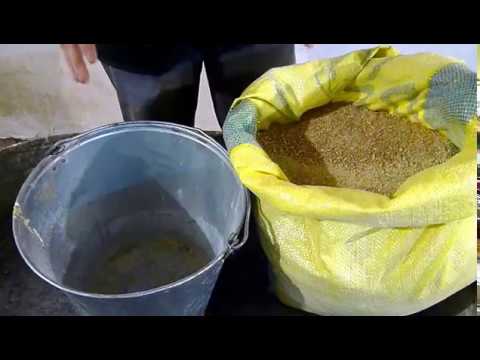 What to feed quail. Part 2. Quail breeding. From A to the frying pan.