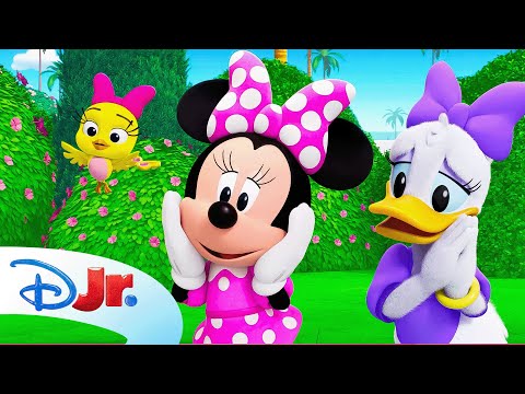 Minnie and Daisy's Puppy Pool Party! ⛱️☀️ | Minnie's Bow-Toons: Pet Hotel | @disneyjr​
