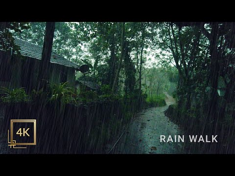 Walking into Dark, Lightless Roads on a Rainy Evening | Indian Village in Monsoon Rainy Night
