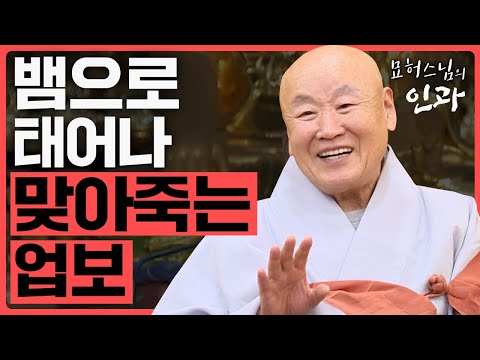 부자가 뱀으로 태어나 맞아죽은 업보  [묘허스님의 인과 36화]