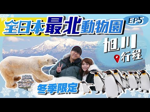 【北海道自由行】旭川網走快閃行程｜全日本最北的動物園！冬季限定企鵝散步｜北海道Vlog EP5｜Kiki and May