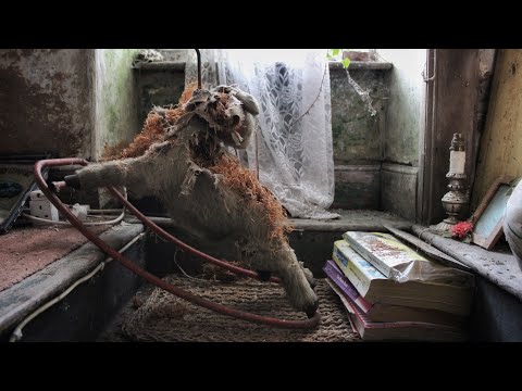 STRANGE ABANDONED HOUSE WITH HUMAN ASHES LEFT BEHIND | ABANDONED PLACES UK | ABANDONED PLACES