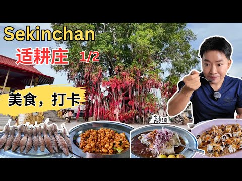 [Sekinchan 适耕庄～美食，打卡1/2] 每天爆满的源发海鲜饭店！阿猪kuku鱼！168 蒸石斑鱼头！玖玖同心蟹炒米粉！华仔芒果园！赖叔叔果园！椰生态园！集美花园啦啦煎！老庄记咖喱面！