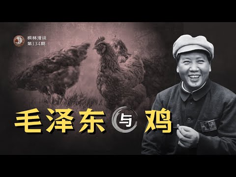 毛泽东和鸡