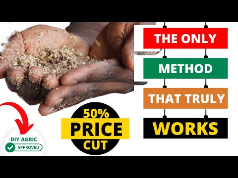 Best way to FERMENT Chicken Feed to Cut Feed Cost | Feed Fermentation METHOD that FIXES ALL MISTAKES