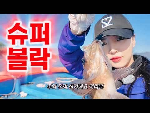 🚨완도 낚시, 지상낙원이 따로 없네요🤩👍