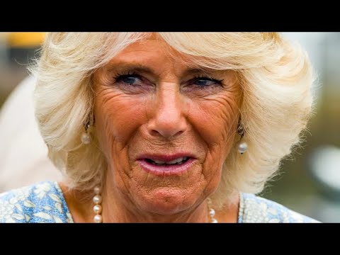 Dinge Über Camilla Parker Bowles Die Mehr Als Seltsam Sind