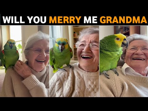 When a Parrot Says “Will You Marry Me?” 😂🦜 | Grandma Shocked | Funny Video 2026