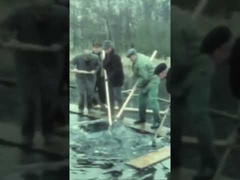 Ice Cutting in 1980—A Job That No Longer Exists #Forgotten #Nostalgia