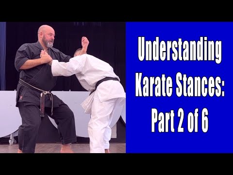 Understanding Karate Stances: Part 2 of 6