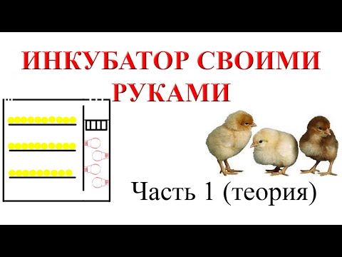 DIY Incubator (Part 1 - Theory)