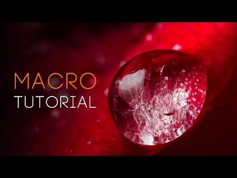 MACRO photography tutorial: everything you need to know!