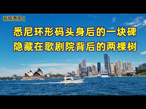 澳大利亚旅游 | 玩遍悉尼| 悉尼环形码头身后一块不为人知的碑，新南威尔士开始的地方 | 悉尼歌剧院背后的两棵树，澳大利亚开始的地方 | 一个天天看见，却不知道的故事 | 一个曾经路过，却不知道的开始