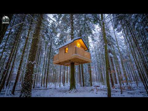 La Casa en el Árbol: Una Obra Creativa con un Toque Personal Inconfundible