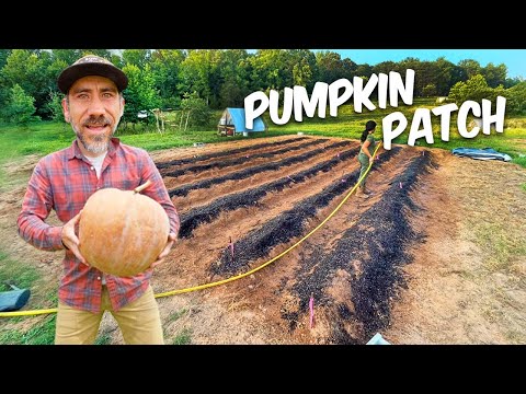 How to Plant a New Garden on Your Homestead
