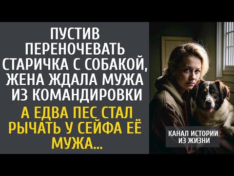 Пустив переночевать старика с собакой, ждала мужа из командировки… А едва пес стал рычать на сейф…