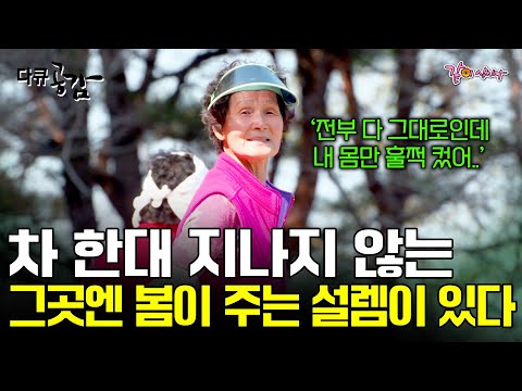 [다큐공감] 차 한대 지나지 않는 이곳엔,  여든 해가 넘도록 해마다 더 설레는 마음으로 봄을 맞으며 소녀가 되는 어머니들이 있다.ㅣKBS 2017.04.15