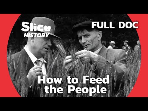 The Scientist, the Impostor and Stalin | SLICE HISTORY | FULL DOCUMENTARY