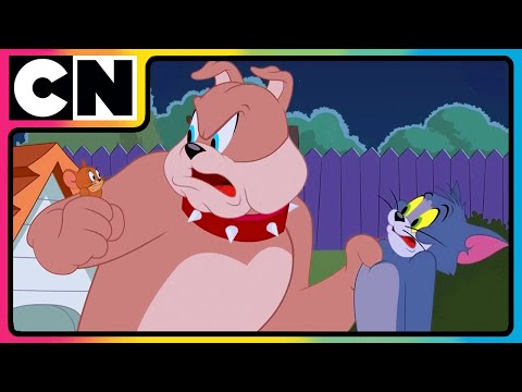 Tom and Jerry 😺🐭 | The Reign Of Thomas Begins! | Cat and Mouse | Compilation | @cnindia