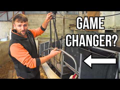 PAIN-FREE SHEEP SHEARING WITH THIS €100 TOOL!