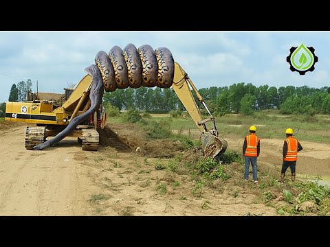 Jaw-Dropping Excavator Operator Skills So Crazy You’d Think They’re Fake! #75