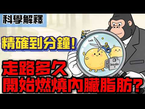 走路多久才燃燒「內臟脂肪」?科學精確到分鐘!為什麼體重沒掉,肚子卻先小了?🔥#內臟脂肪 #走路減肥 #燃脂科學 #減肚子 #胰島素抵抗 #快走教學 #有氧運動 #線粒體 #健康瘦身 #燃脂機制