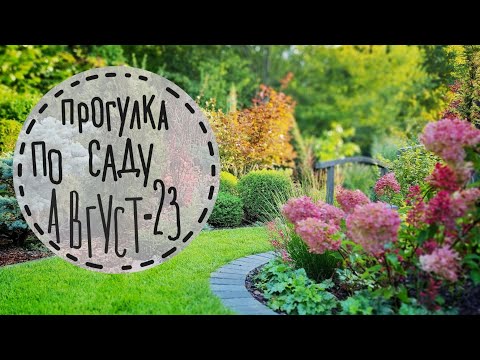 5 Осваиваю рубанок🍀 приподнятая клумба для черешни🍀 проблемы с новыми стульями🍀 какой декор выбрать